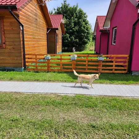 Letniskowe U Zuni בית נופש Chłopy