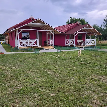 Letniskowe U Zuni Chłopy