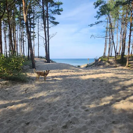 Letniskowe U żuni *