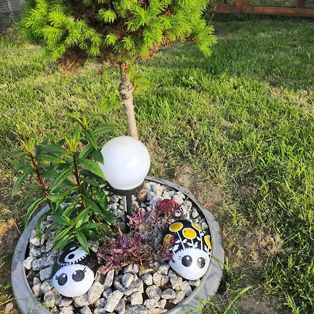 Letniskowe U żuni Chłopy