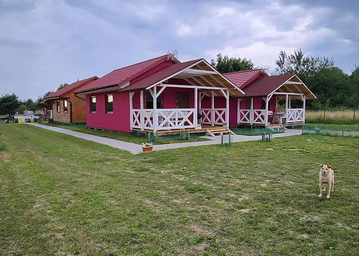 Holiday home Letniskowe U Zuni