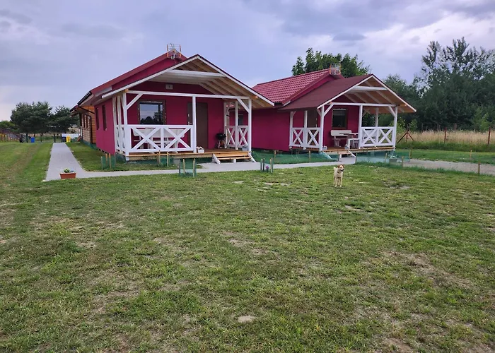 Letniskowe U Zuni Chłopy