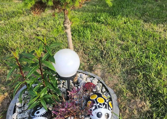 Letniskowe U Zuni Chlopy